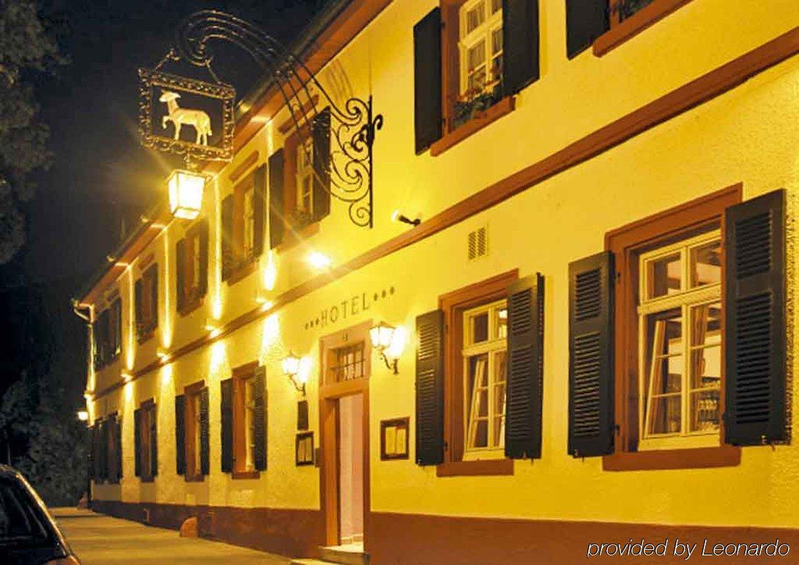 Das Lamm Heidelberg Kültér fotó